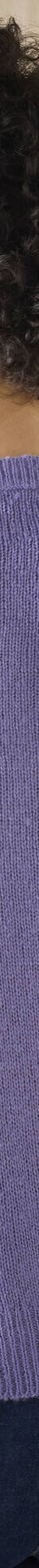 Trui met details in pointelletricot (parma) Trui met details in pointelletricot (parma)